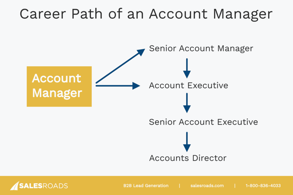Account Manager Career Path