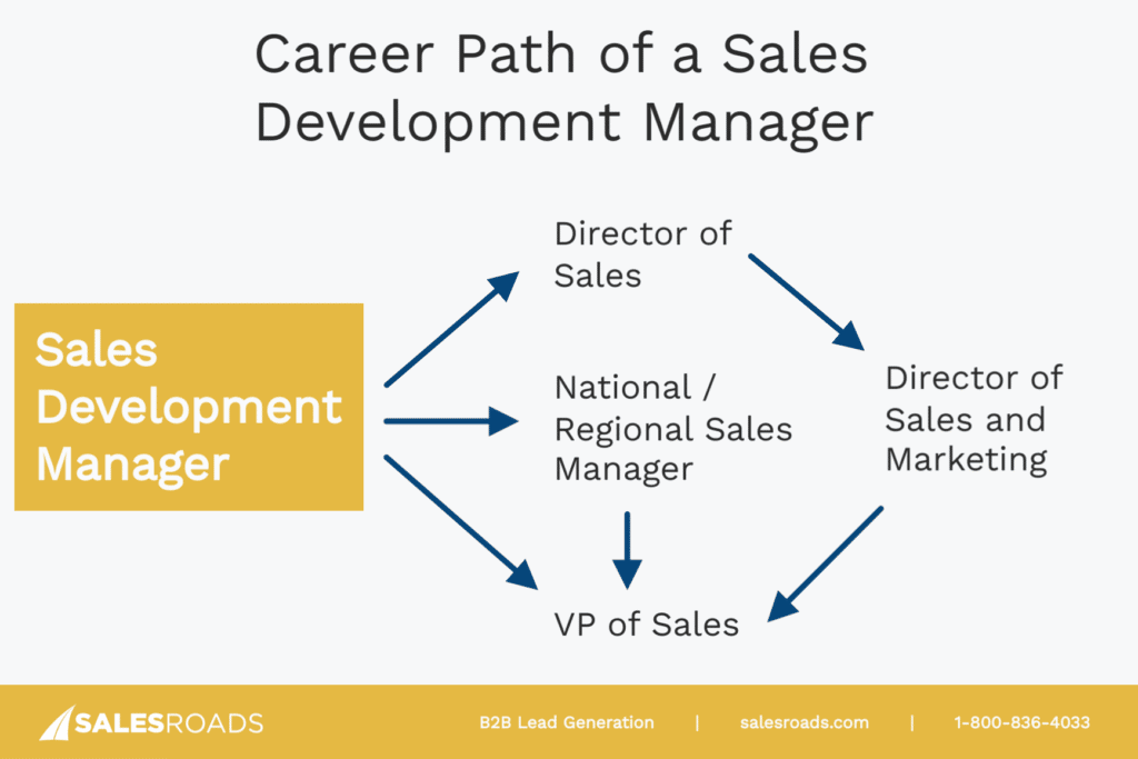 Sales Development Manager Career Path
