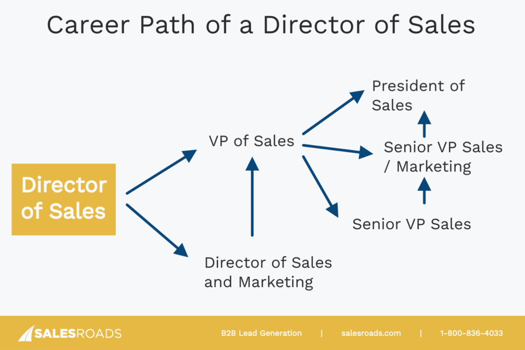 Director of Sales Career Path